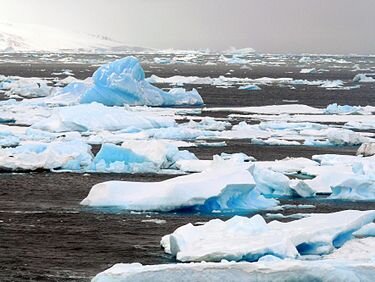 Фото с сайта https://en.wikipedia.org/wiki/Alice_blue 