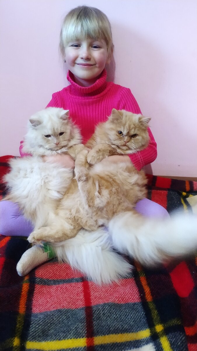 Дочка с кошками Билык( Биляш ещё зову любя) и Рыжулечка фото автора