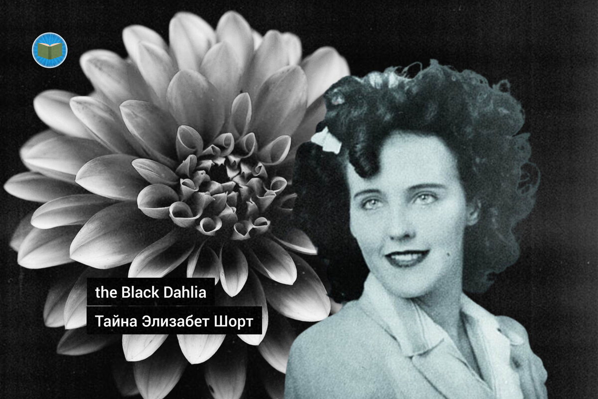 Иллюстрация автора 