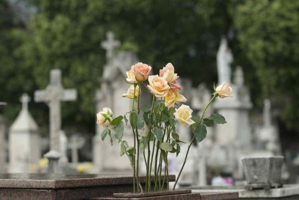 фото из открытых источников Яндекса