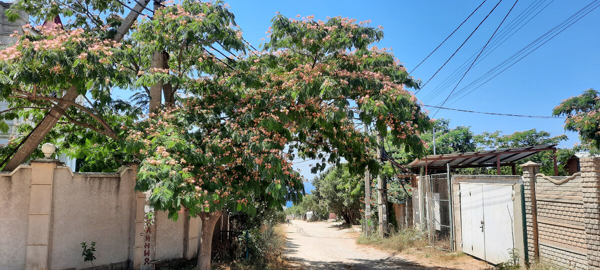 По дороге к красотам Фиолента