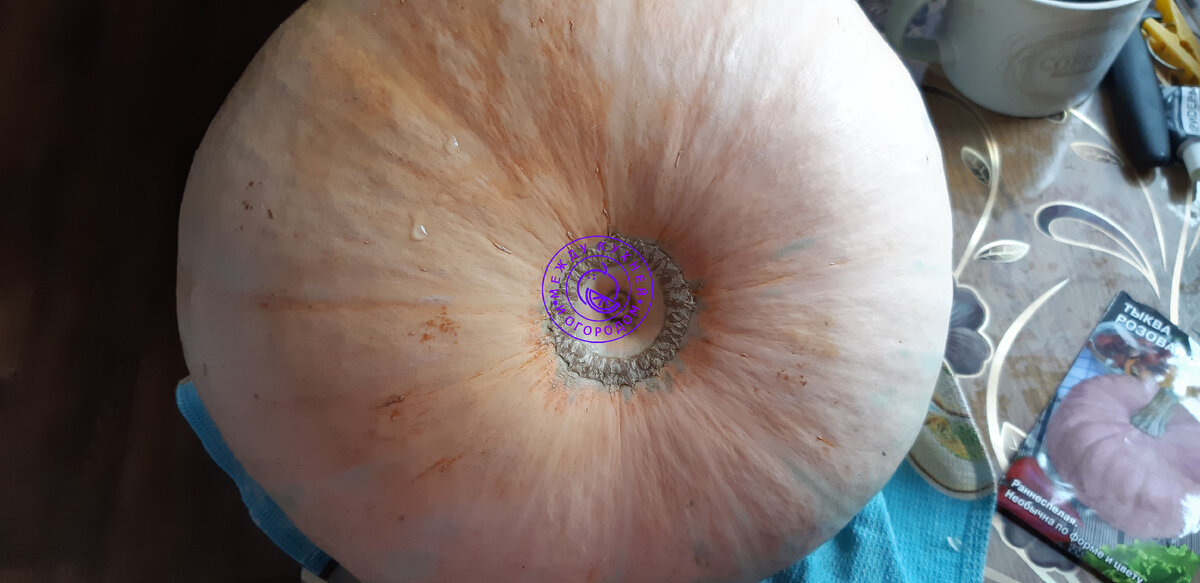 Такой цвет на стороне "лежания"