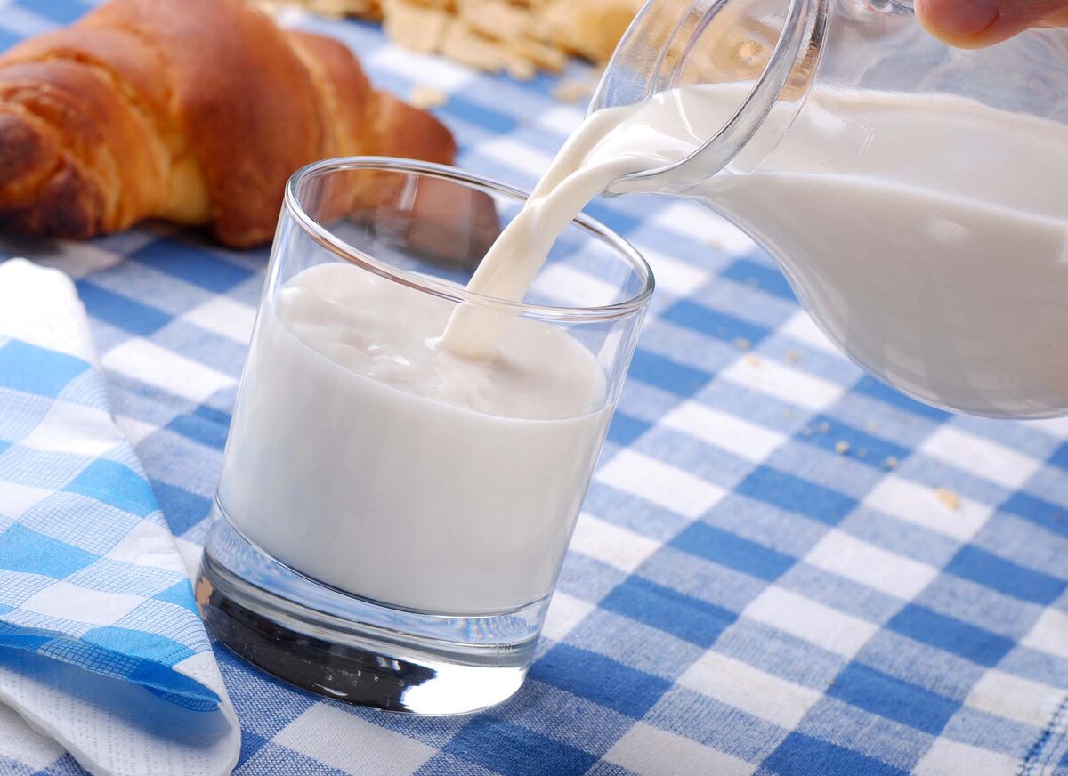 Как повысить жирность молока у КРС: эффективные методики - Хорошун