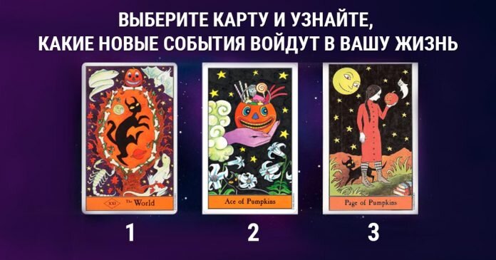 Изображение взято с открытых источников