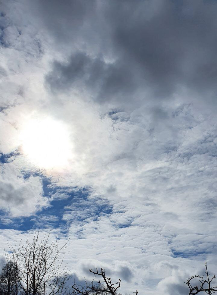 Вы видите яркое солнце и надвигающиеся тучи. Борьбу или неразделимость?