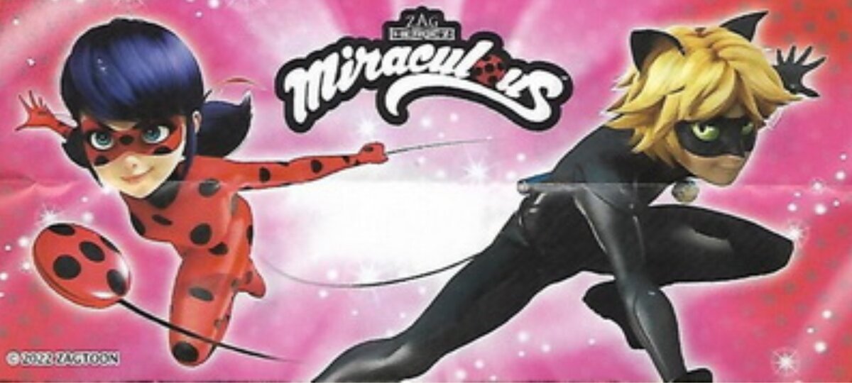 Вкладыш (hjfhenze.de) 