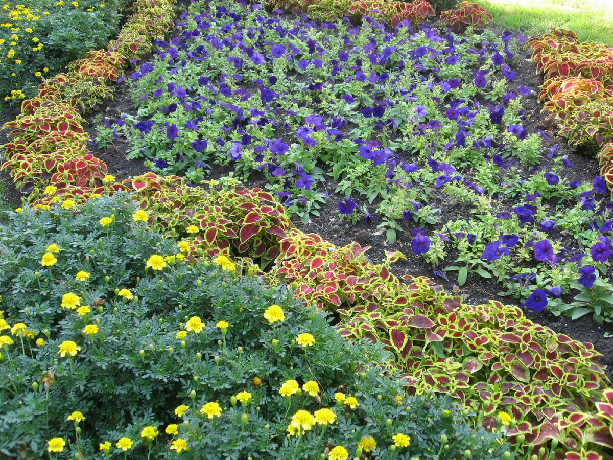 2008 г Геленджик Голубая Волна 