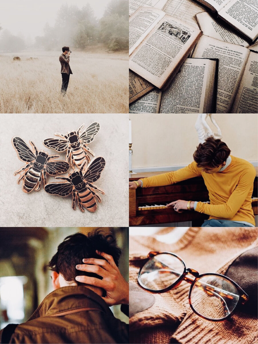 Фото с интернета.