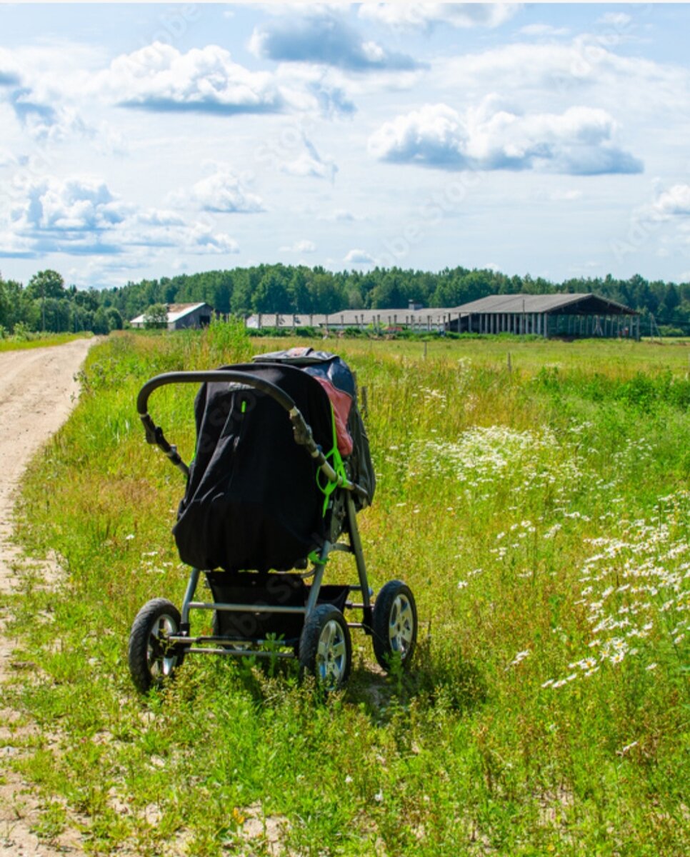 Источник фото: pikwizard.com