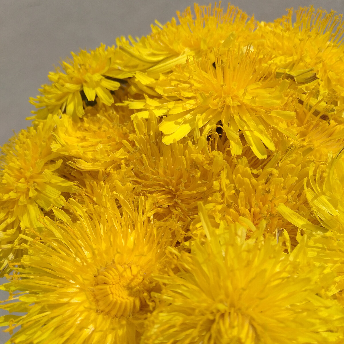 Фоточки делаю сама. Красиво?🙈💖