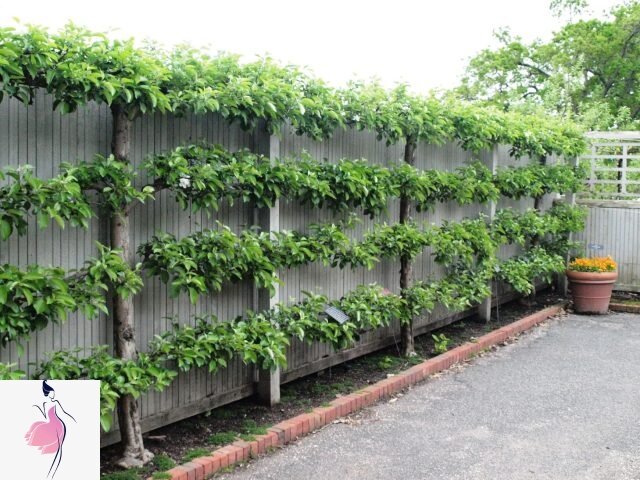 Фото с сайта https://worldofwomen.club/