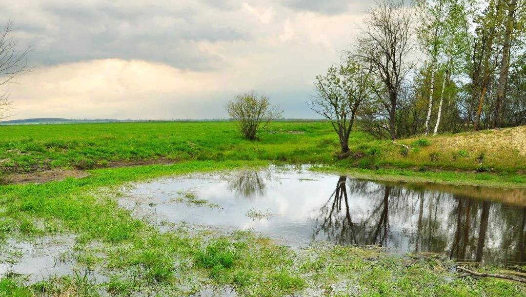 Фото — photocentra.ru