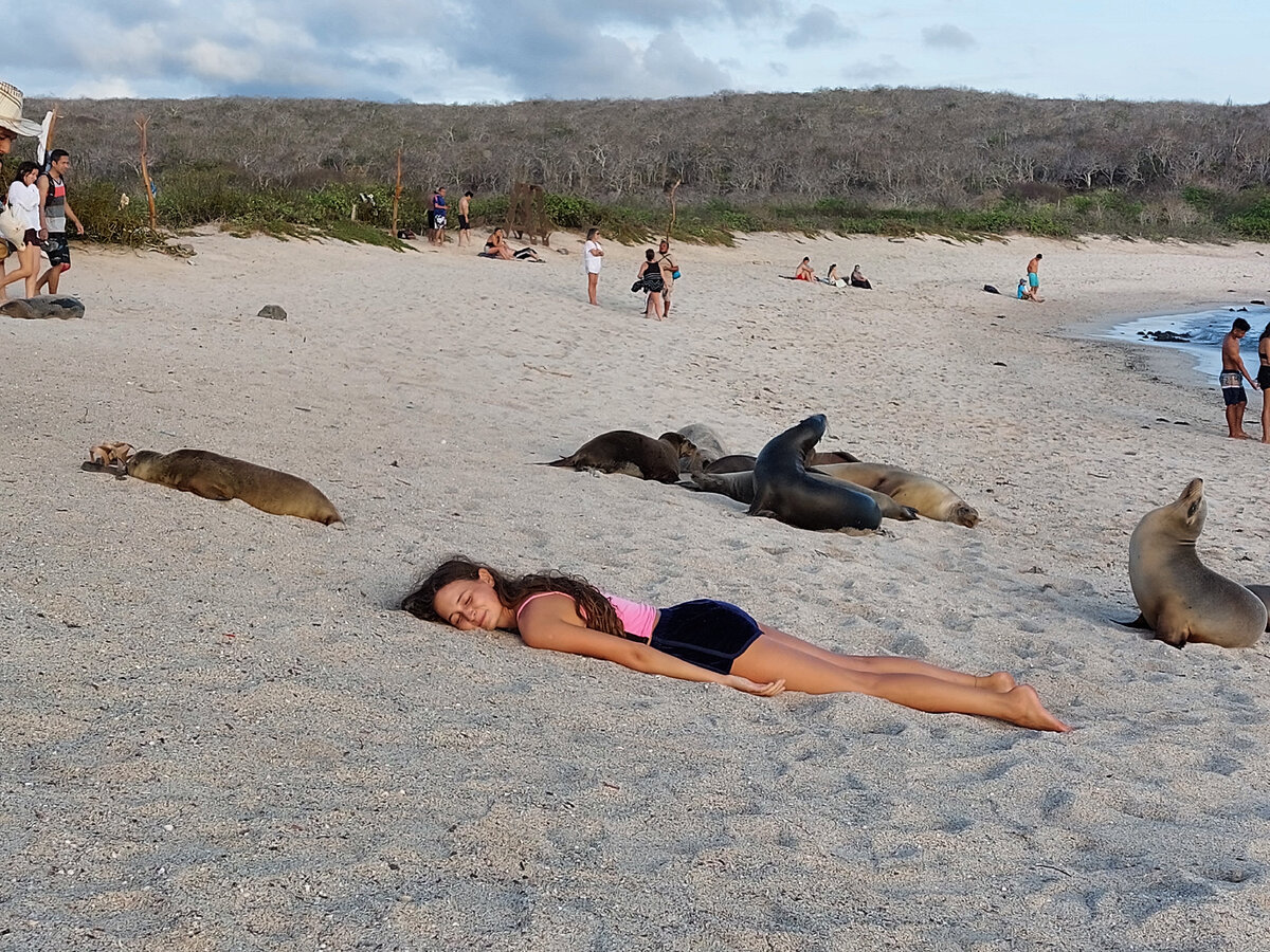 Моя любимая фотка