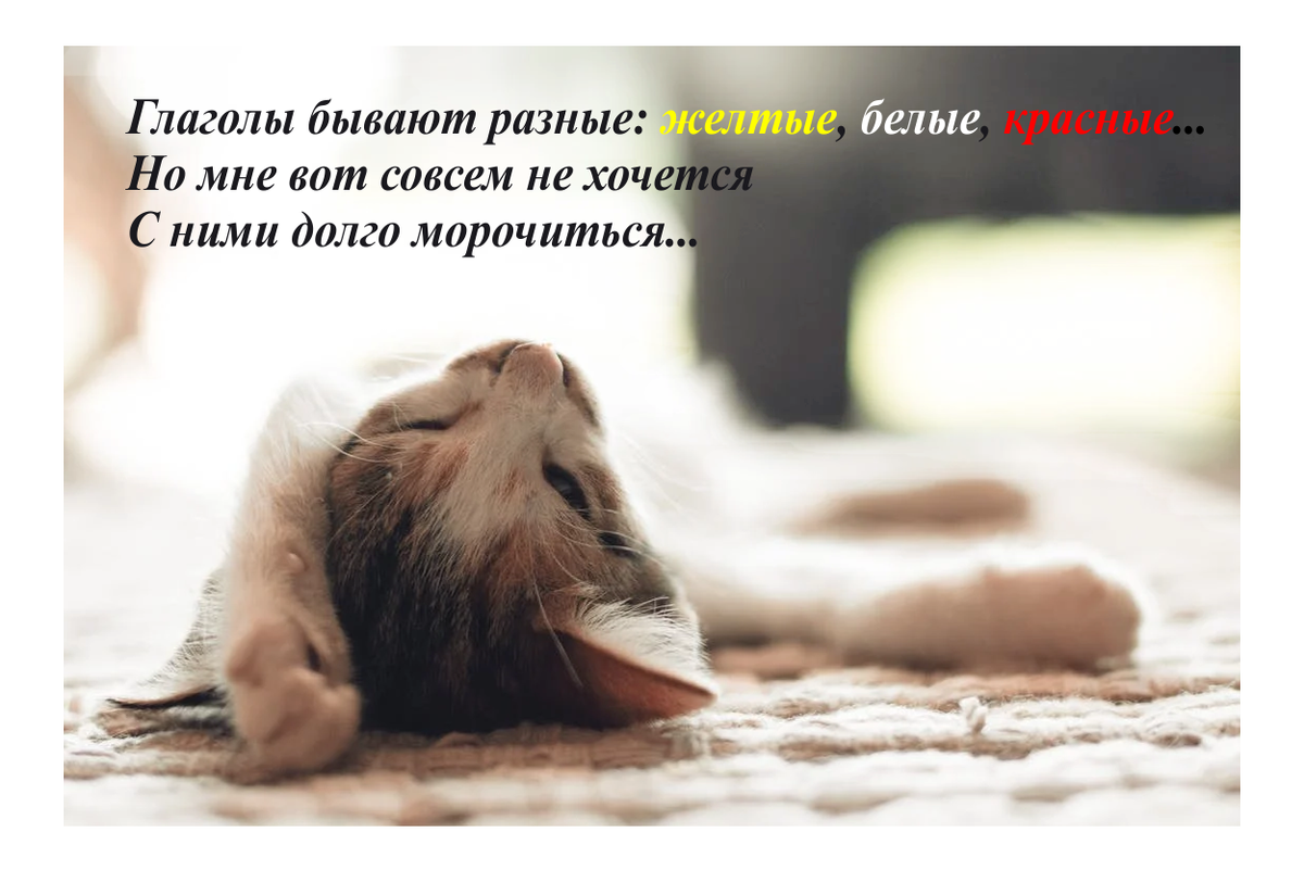 11 типов глаголов в английском языке, которые должен знать каждый | English  Cats | Дзен