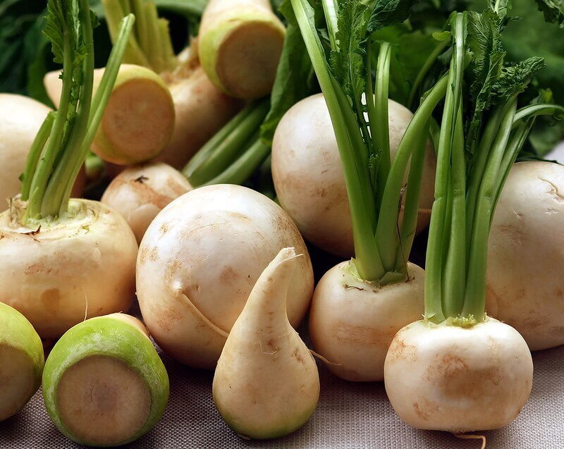 Автор и правообладатель данного изображения: https://foodandhealth.ru/ovoshchi/repa/?