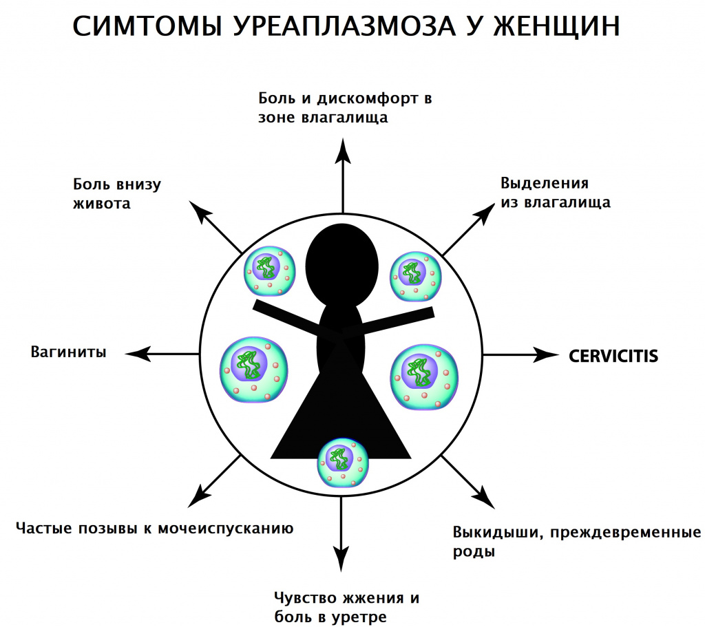 Микроскопическое исследование мазка из цервикального канала с фото