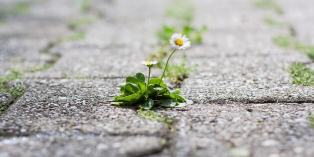 Фото: SpelaG91 / Shutterstock📷
