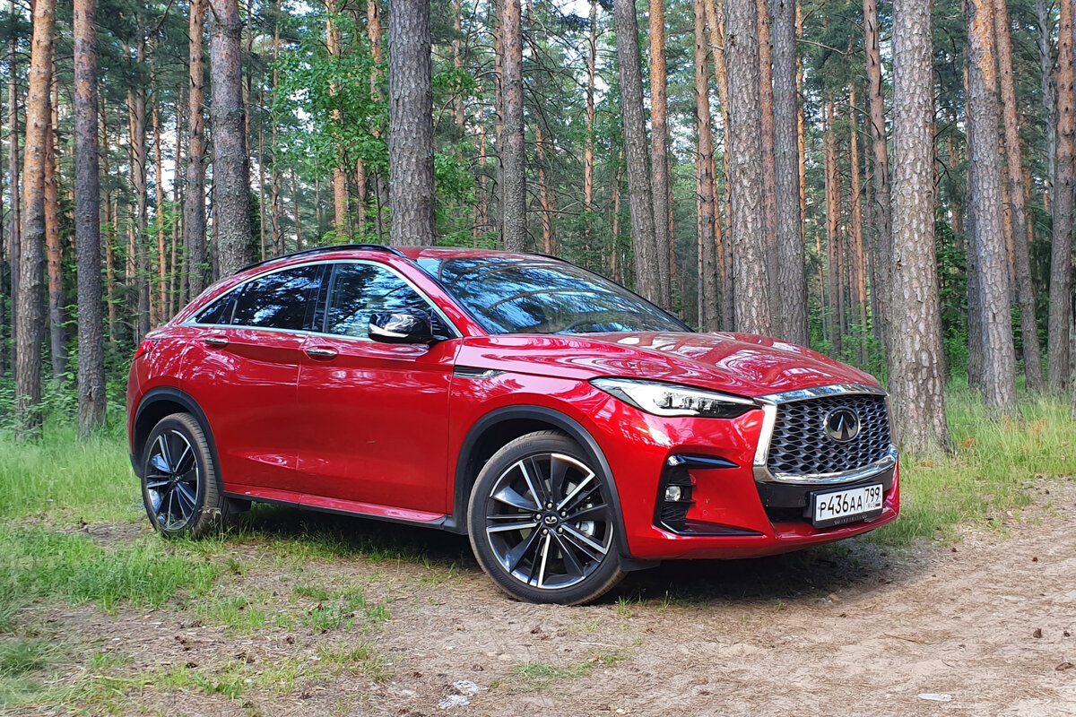 Infiniti QX55. Фото CarExpert.ru