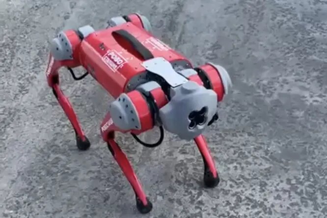    Официальный сайт Московского зоопарка