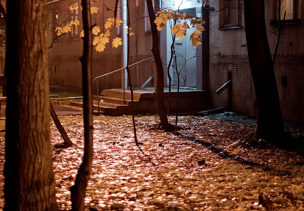 Осень прекрасна