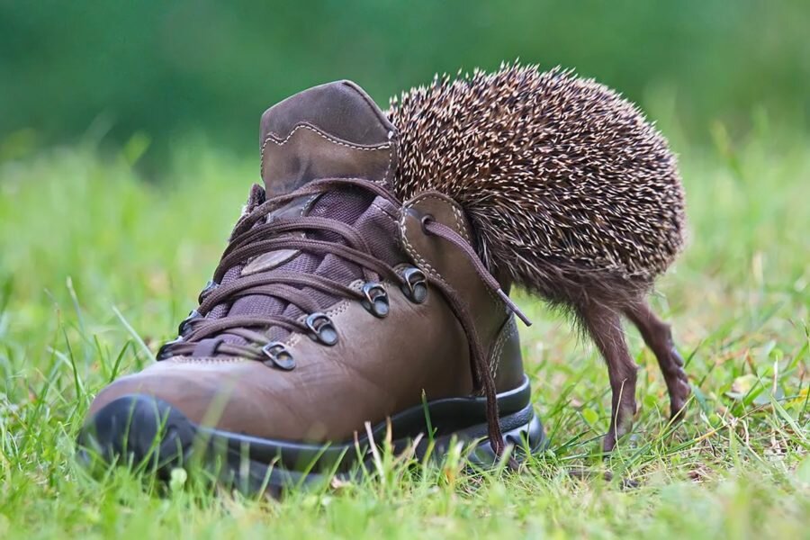 Картинка, что было что-то для обложки