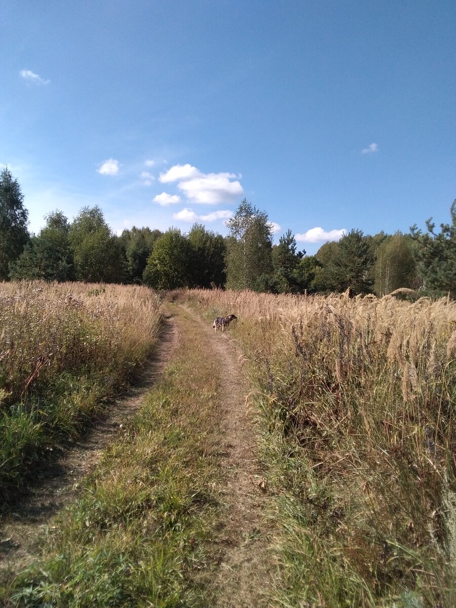 Фото автора. 