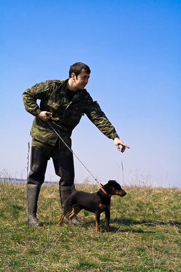     фото: Fotolia.com