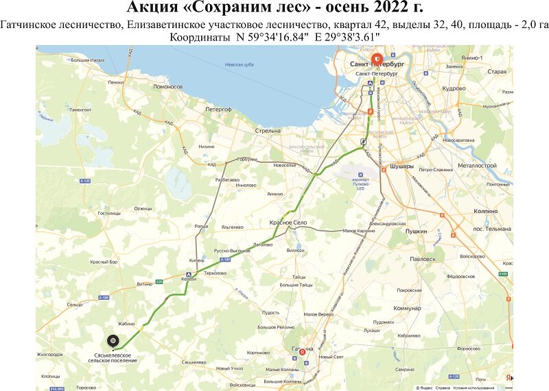 Схема предоставлена Гатчинским лесничеством