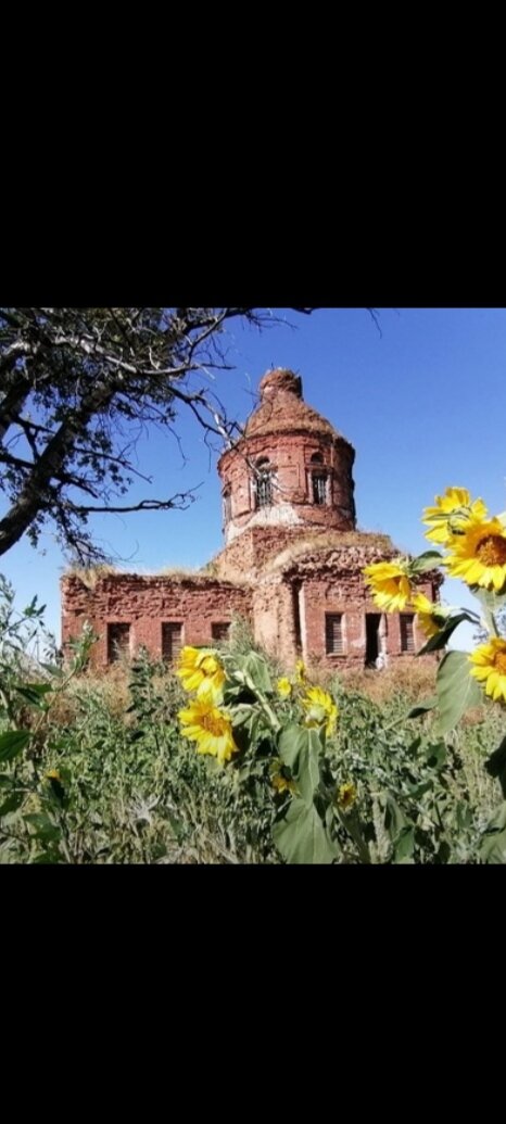 Фото из открытых источников