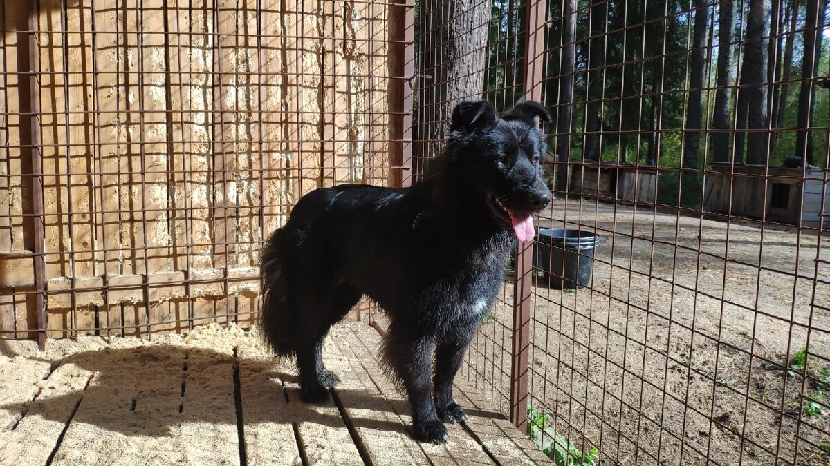 Зара. 2 года