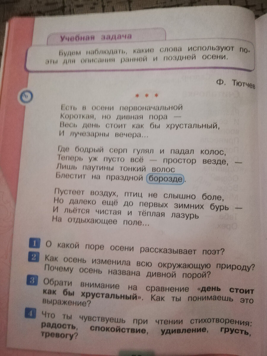 Чем отличается пословица от поговорки? | Аргументы и Факты