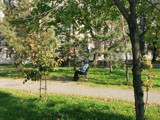     В Хабаровском крае снизилось число заболевших коронавирусом Ольга Григорьева