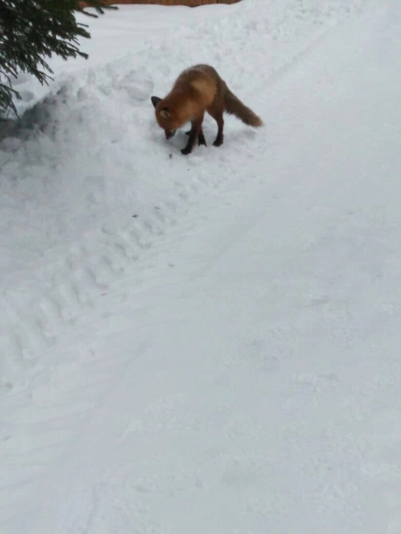 -2-2