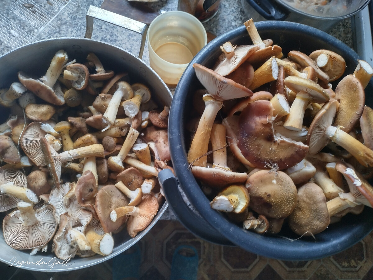 Ведро 5 литров и кастрюля 4 литра.