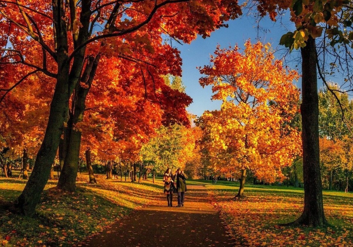    Фото: Pixabay.com Анна Норкина