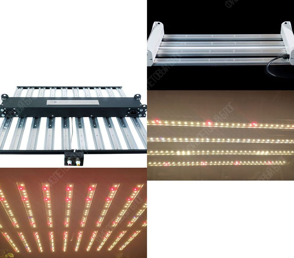 «А че, давайте вырастим!». С этой фразой и с большим потоком вдохновения начали воплощать идею в жизнь.-4