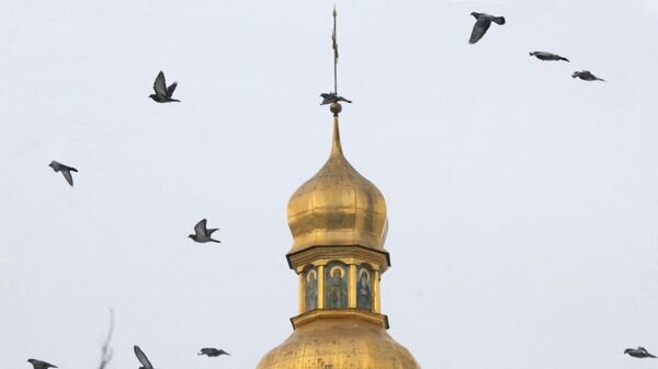   © РИА Новости . Алексей Куденко