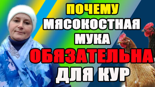 НИКАКОЙ ХИМИИ - рыбная и костная мука. Применение рыбной и костной муки в огороде