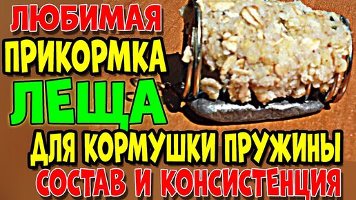 Кормушки для фидерной и донной ловли