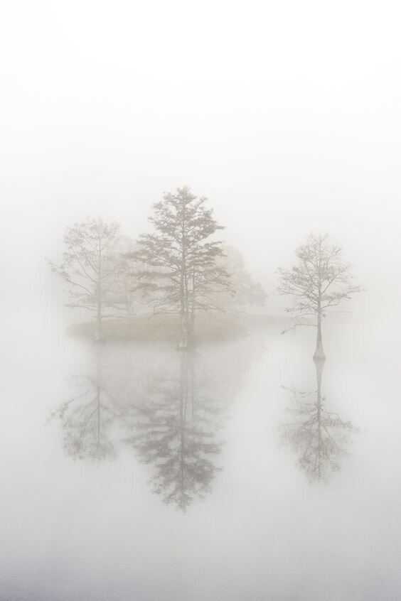 Яндекс картинки. Свободный доступ 