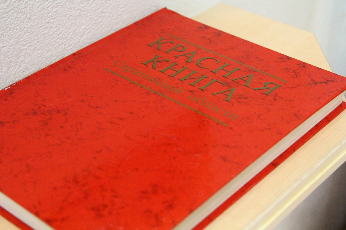 Если вы бывали когда нибудь в музее, из которого не хочется долго  уходить, то тогда вам стоит сходить и в музей краеведения, который находится в Саратове, на ул.-27