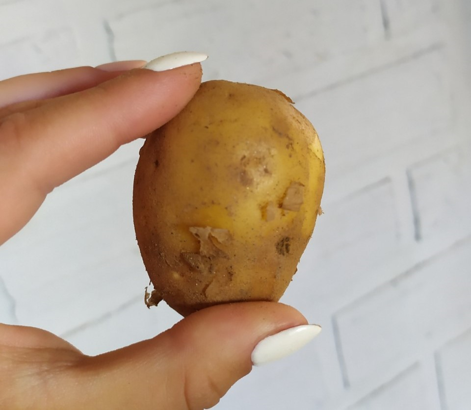 В картофеле содержится много полезных веществ для кожи. Фото автора