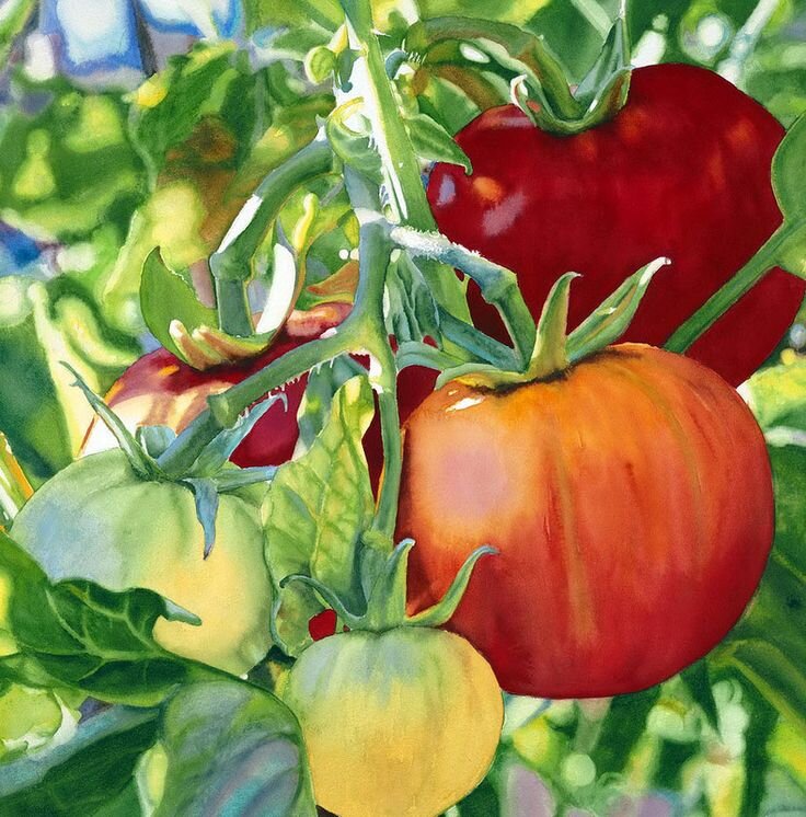 Кара Браун, источник- https://www.pinterest.ru/pin/718253840559346383/