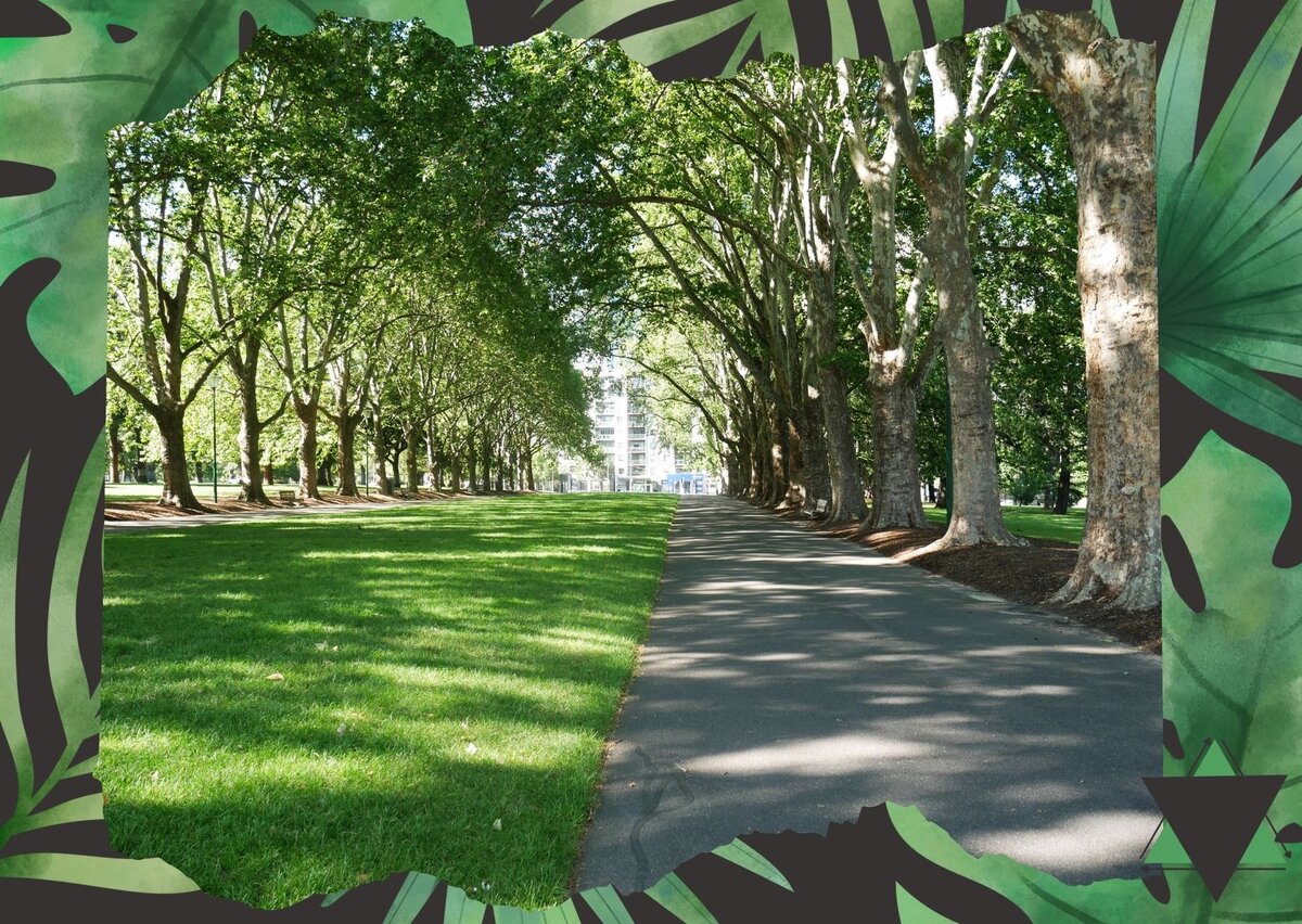 Красивая аллея прикрытая деревьями.