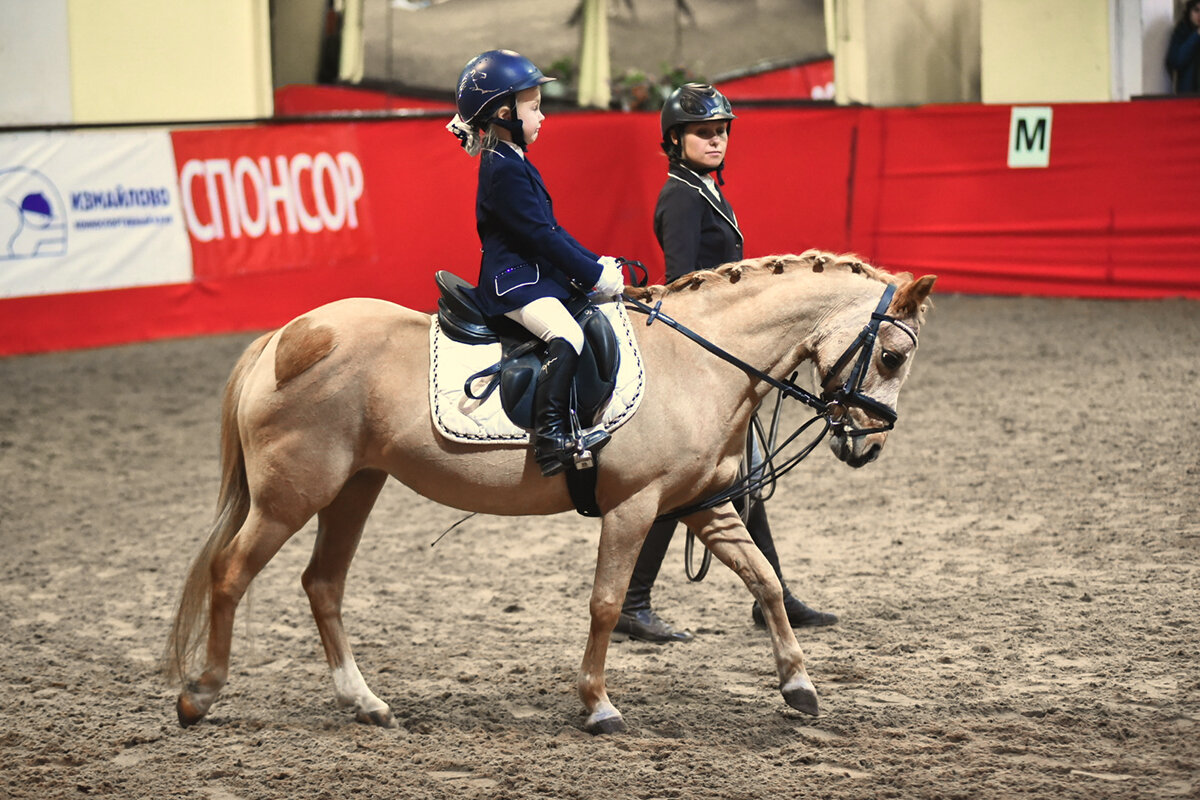 Конно спортивный центр созидатель лыткарино. Ратомка конный комплекс. Джигитовка кск звездный. Пони ферма тосно. Программы кск.
