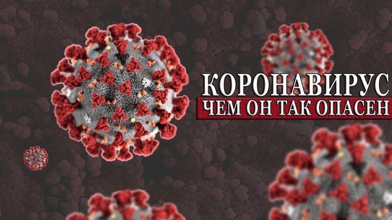 Нередко коронавирусная инфекция может протекать бессимптомно. Почему так происходит и для кого это представляет опасность разберемся в этой статье. 
По словам профессора Сергея Авдеева, заведующего кафедрой пульмонологии Сеченовского университета частота бессимптомных случаев может составлять 25%-50%.