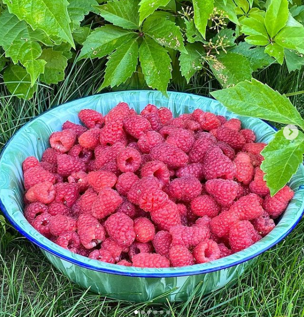 Таз малины.