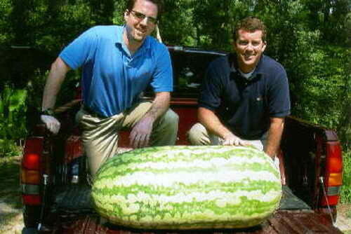 Семья Брайтов