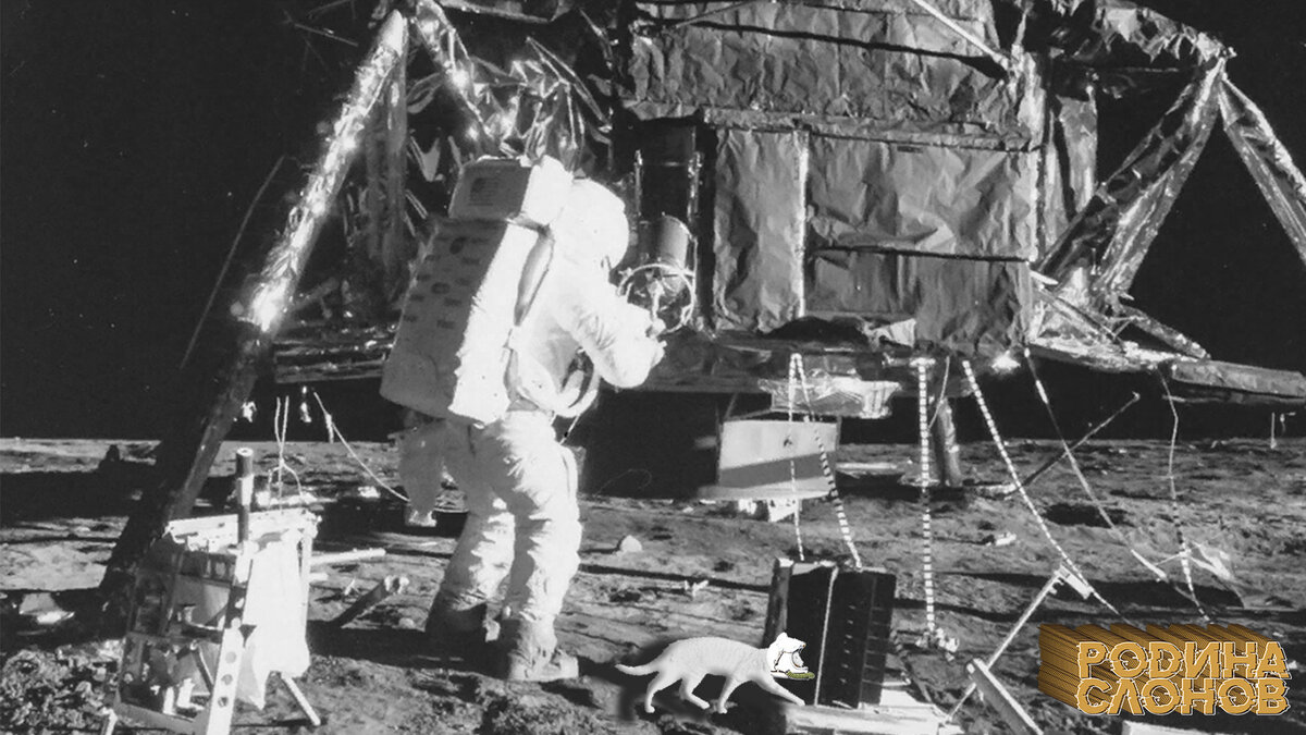 На фото: Альф Уорден заглядывает в лунный модуль