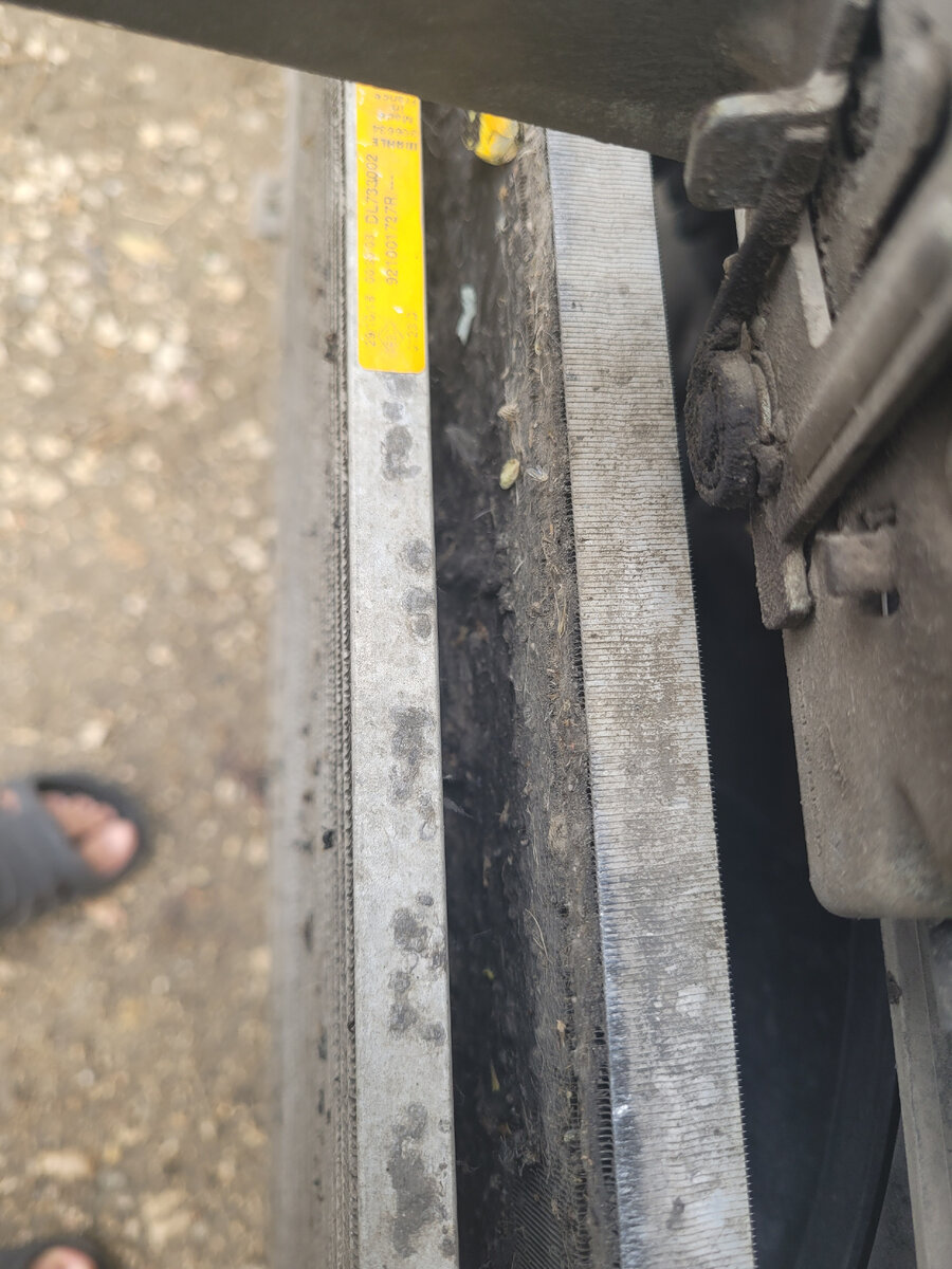 Пух и пыль на радиаторе